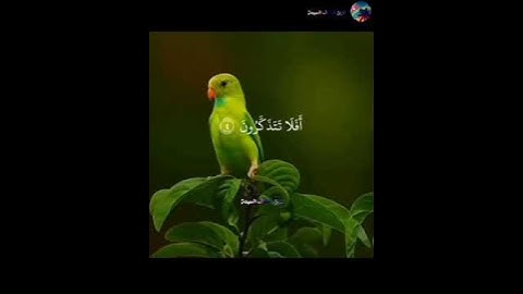 سورة السجدة || عبدالرحمن مسعد | تلاوة خاشعة |Ej7al