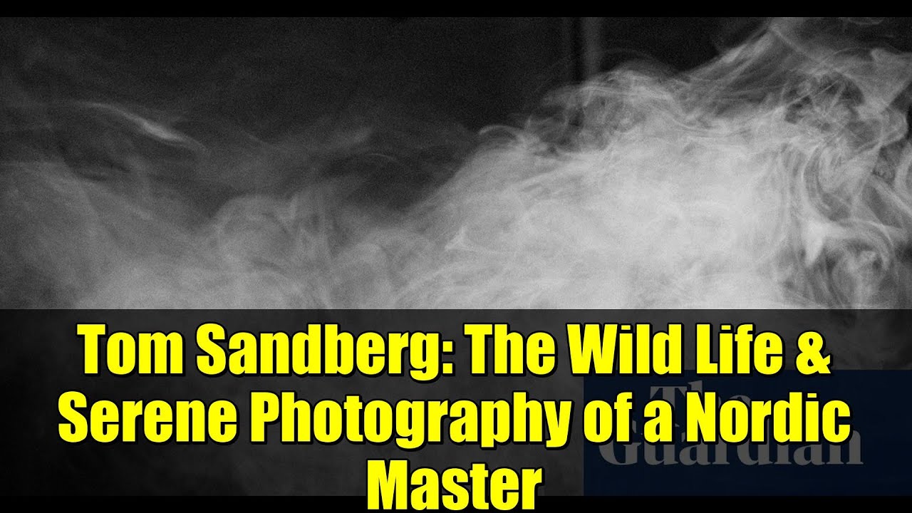 Tom Sandberg: The Wild Life & Serene Photography of a Nordic Master