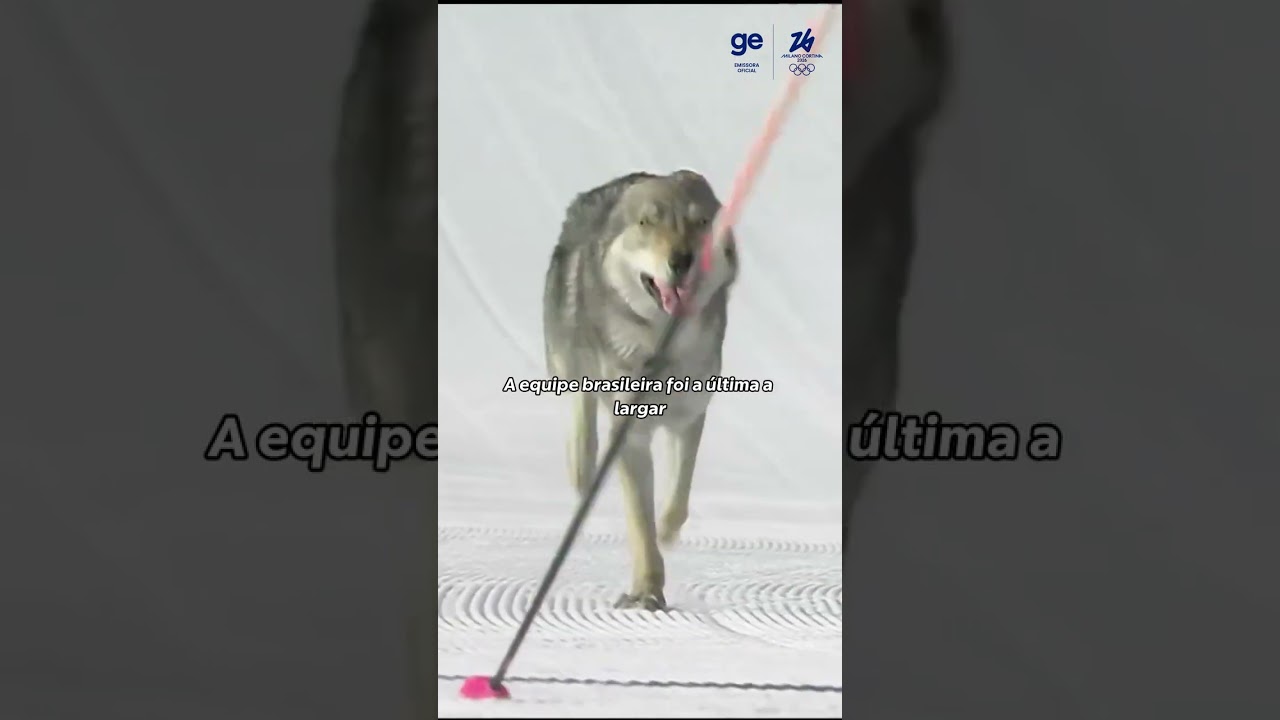 BRASILEIRO HONORÁRIO? CACHORRO CRUZA LINHA DE CHEGADA E INTERFERE TEMPO DE BRASILEIRA | ge.globo