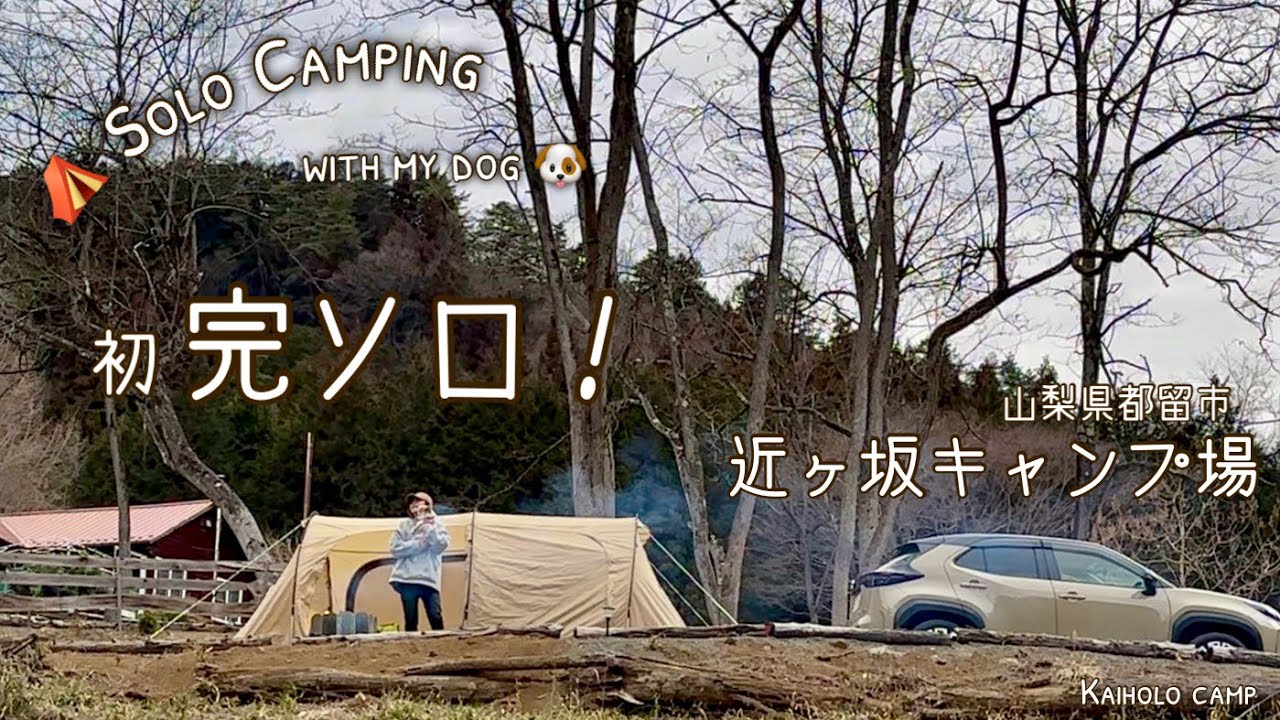 【50代女子ソロキャンプ】初 完ソロ！籠もれば大丈夫？近ヶ坂キャンプ場｜Ecoflow DELTA 2｜Solo camping with my dog. Vlog［16］