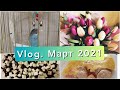 Vlog. Рецептики. Весна. Попугай #влог#март#рецепты#весна