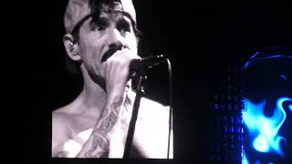 Red Hot Chili Peppers - Aquatic Mouth Dance / Otherside - Firenze Rocks 2022