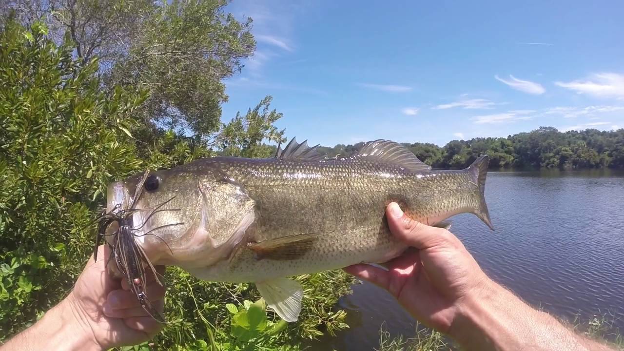 TRAVEL VLOG 2 BASS FISHING ST. AUGUSTINE FLORIDA - YouTube