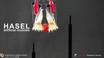 HASEL artificial muscles for next-generation soft robotics