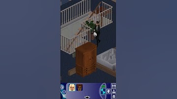 The Sims 1: Burglar comes at night