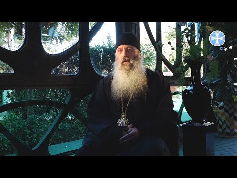 მიტროპოლიტი ილარიონი (ქიტიაშვილი) სრულიად საქართველოს კათოლიკოს-პატრიარქის შესახებ