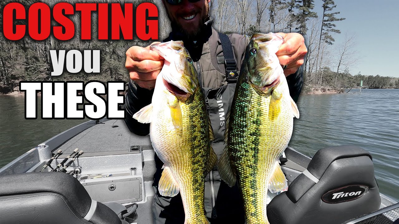 WACKY Rig MISTAKES that are STOPPING you from CATCHING