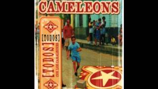 LES CAMELEONS - CUIDADO