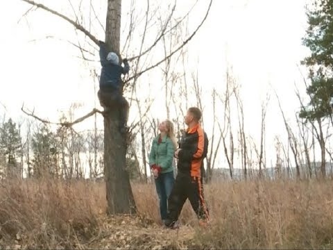 Самооборона: учимся правильно лазить по деревьям