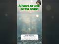 The Ocean Inside Your Heart