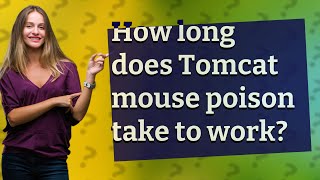 How long does Tomcat mouse poison take to work?