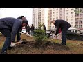Озеленение Самары: осенью высадят 5 тысяч саженцев