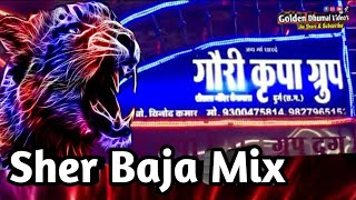 Sher Baja By Gauri kripa Dhumal Durg | Golden Dhumal Video's