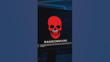 WordPress web software AI vulnerability in dev module