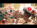 My Favorite Cat Little Kitten Preschool - Play Fun Cute #176