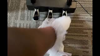 Pedal Pushing in my Ruffle Socks