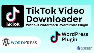 TikTok Video Downloader Without Watermark   WordPress Plugin