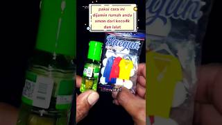 pakai cara ini dijamin rumah anda aman dari kecoak!! #tips #tutorial #trik