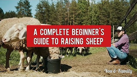 Sheep Farming Complete Beginner