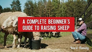 Sheep Farming Complete Beginner's Guide | How To Start Sheep Farm | Sheep Raising Tips