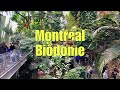 4k the biodme of montreal an immersive and multisensory experience