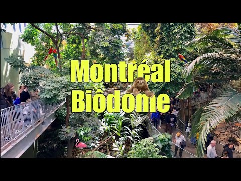 Videó: Montreal Biodome: Látogatás megtervezése