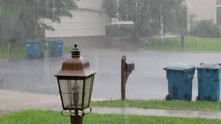 Late Summer Virginia Rain
