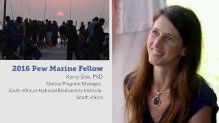 Protecting South Africa's Ocean Treasures: Kerry Sink, Pew Fellow