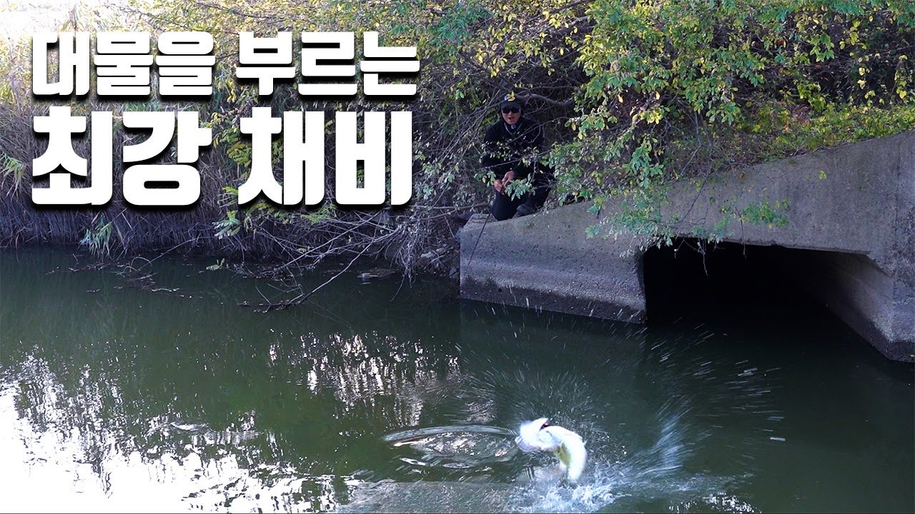 빵 좋은 배스들이 좋아하는 나무에 걸리지 않는 네꼬리그 [CKMATE ep.27]