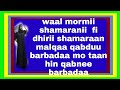 Waal Mormii Shamaranii Fi Dhiira Shamaraan Malaqaa Qabduu Barbadaa Mo Taan Hin Qabnee Barbadaa Waal Mormii Shamaranii Fi Dhiira Shamaraan Malaqaa Qabduu Barbadaa Mo Taan Hin Qabnee Barbadaa