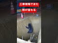 熊!工事現場でまた落ちる😨 #バズ動画 #まさかの光景