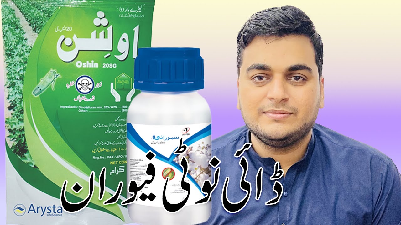 Dinotefuran Neonicotinoid Insecticide for Effective Control of Green Bug, Wheat Aphid & Jassid