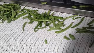 TABANLI Bean Snipper