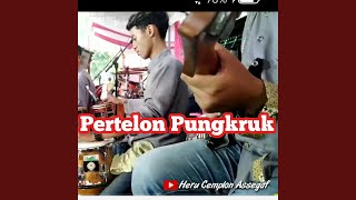 Pertelon Pungkruk