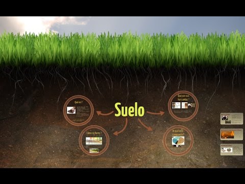 Video: ¿Qué causa la formación del suelo?