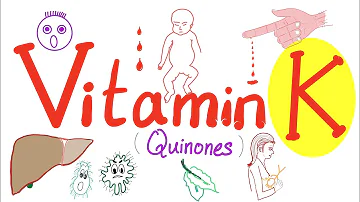 Jaký je vitamín K v organismu?