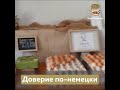 Доверие по-немецки