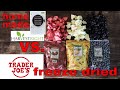 Trader Joe's vs Home Freeze Dried Food // Strawberries, Pineapple, Blueberries