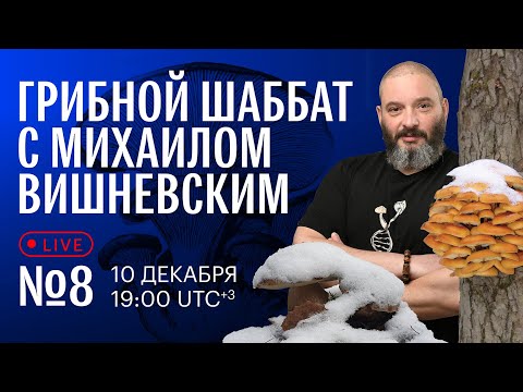 Грибной шаббат с Михаилом Вишневским №8. Собираем грибы зимой