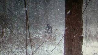 Various Bigfoot Sasquatch Photos - Part 3 COMPLETE Bigfoot, Sasquatch, Dogman