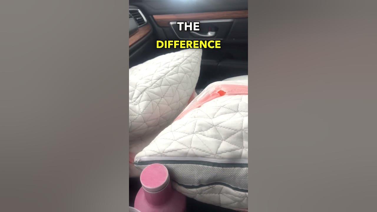 Which is SOFTER? Coop Eden or Coop Original Pillow? (shredded memory