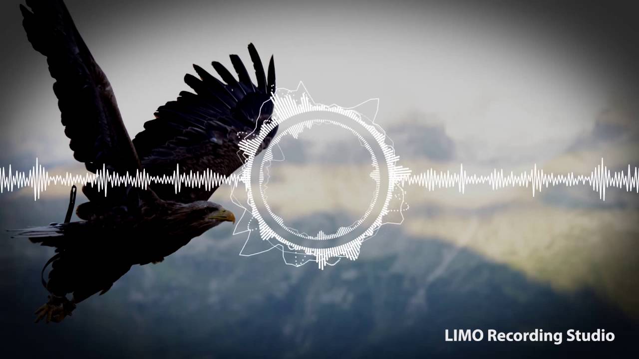 Tobu - Roots [1 HOUR VERSION]