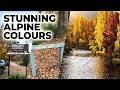 BRIGHT VICTORIA AUTUMN | Colourful Streets & Hidden Gems
