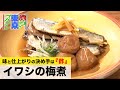 銀皮がキレイに残る!柔らかくふっくら【イワシの梅煮】