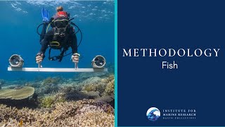 Famous Methodology: Fish Wealth