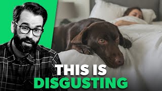 Sharing A Bed With Your Dog Is Disgusting - Matt Walsh Hot Take