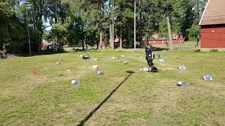Rally Obedience In Arendal. Staffordshire Bull Terrier