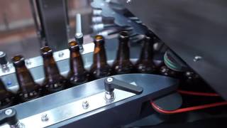 OMNIvision 3 - Bottle Inspection