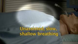 Celebrity ASL 5000 Breathing Simulator with Manikin Profile