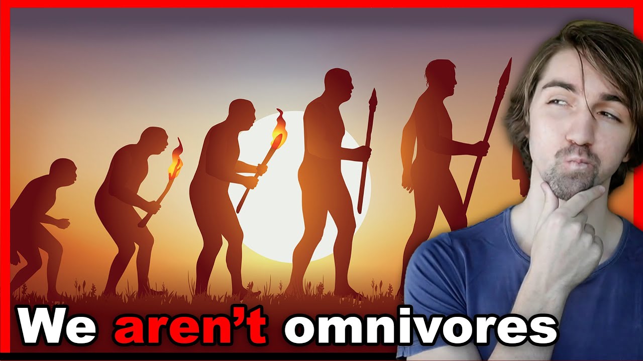 humans-arent-omnivores-based-on-anthropology-and-digestive-tract